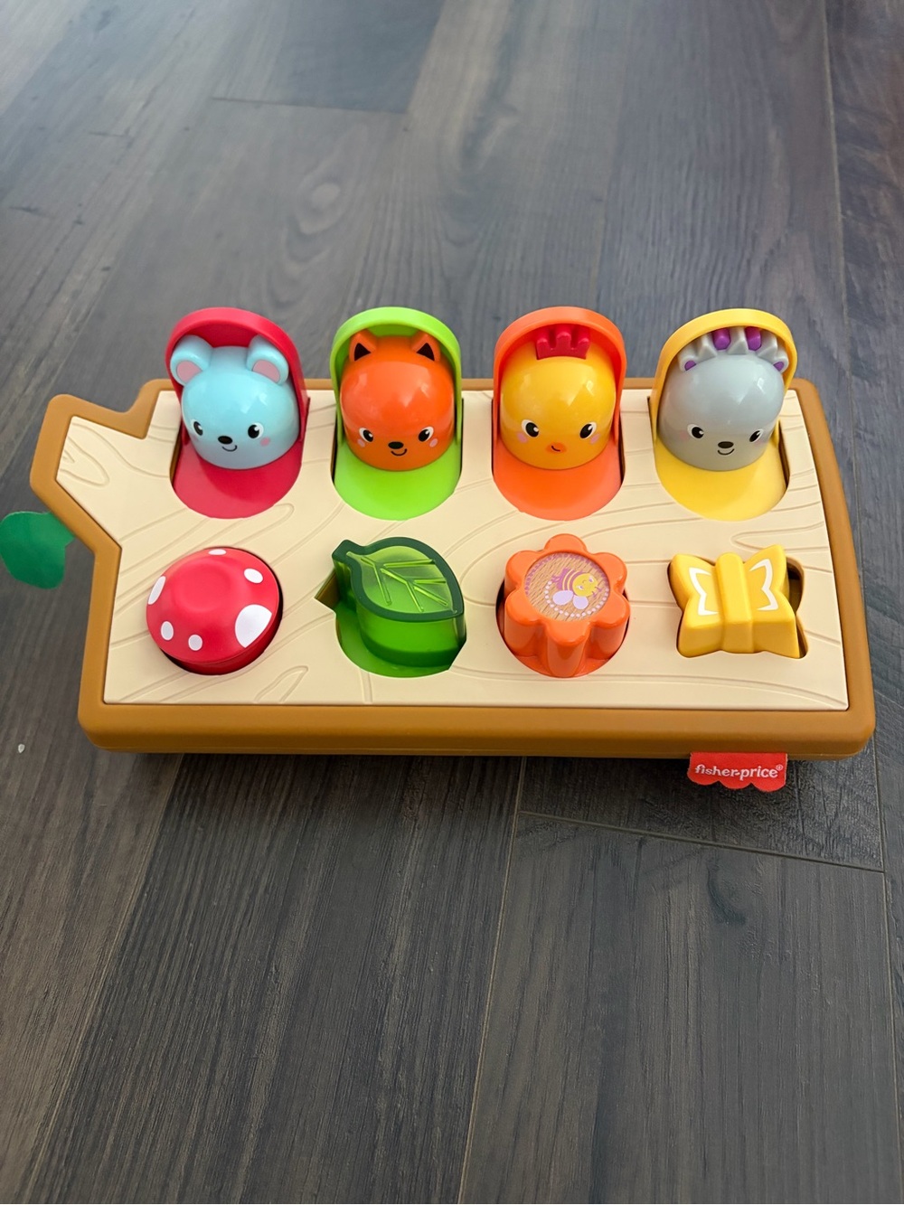 Fisher-Price Colorful Pop-Up Forest Toy - Multicolor